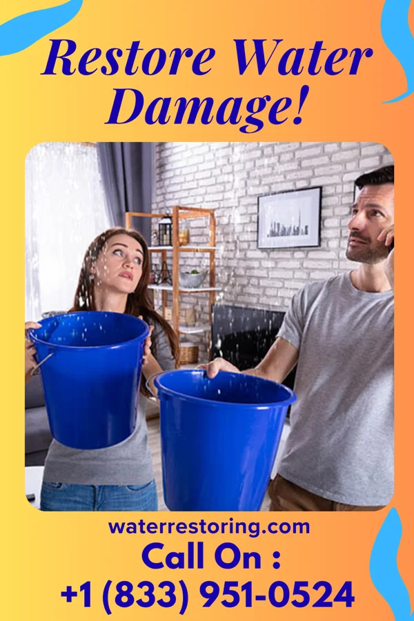 water restoration Capital Damage Recovery Company Lamkin