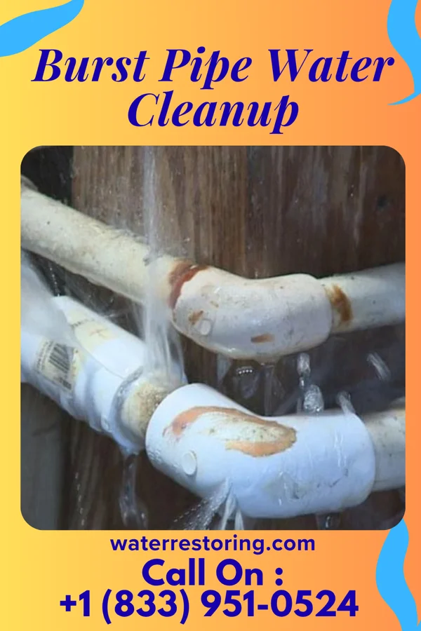 Burst Pipe Water Cleanup in Lamkin, TX
