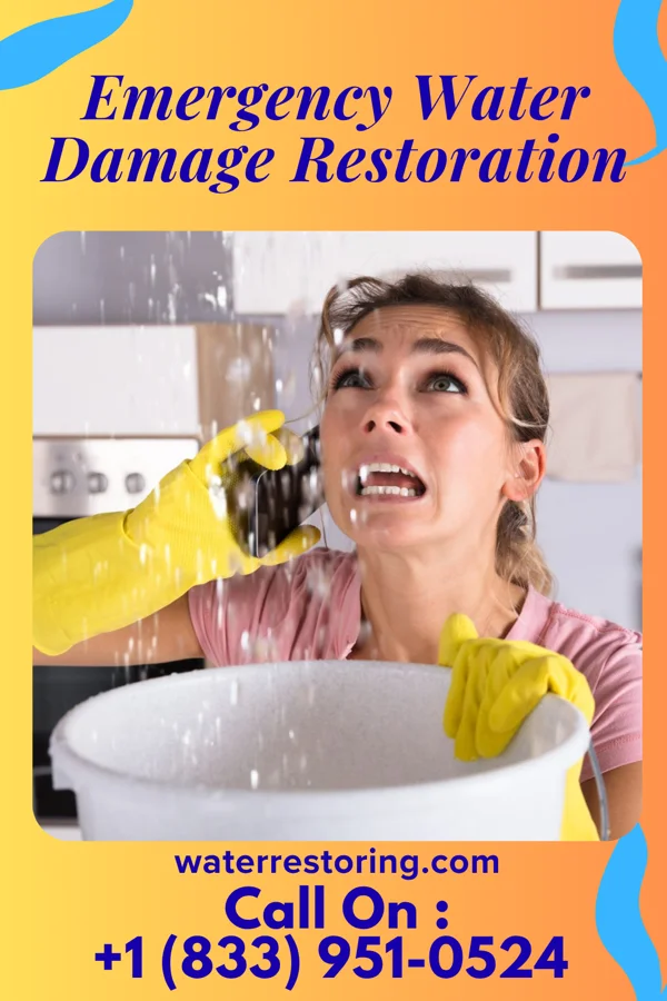 Emergency Water Damage Restoration in Lamkin, TX