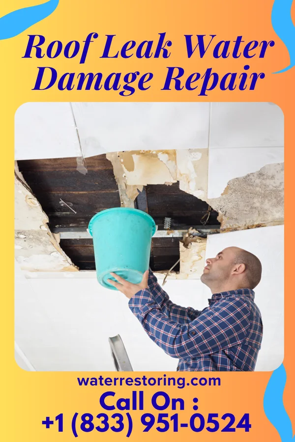 Roof Leak Water Damage Repair in Lamkin, TX