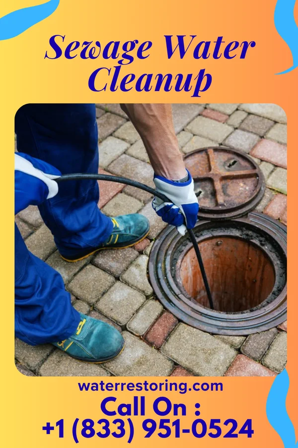 Sewage Water Cleanup in Lamkin, TX