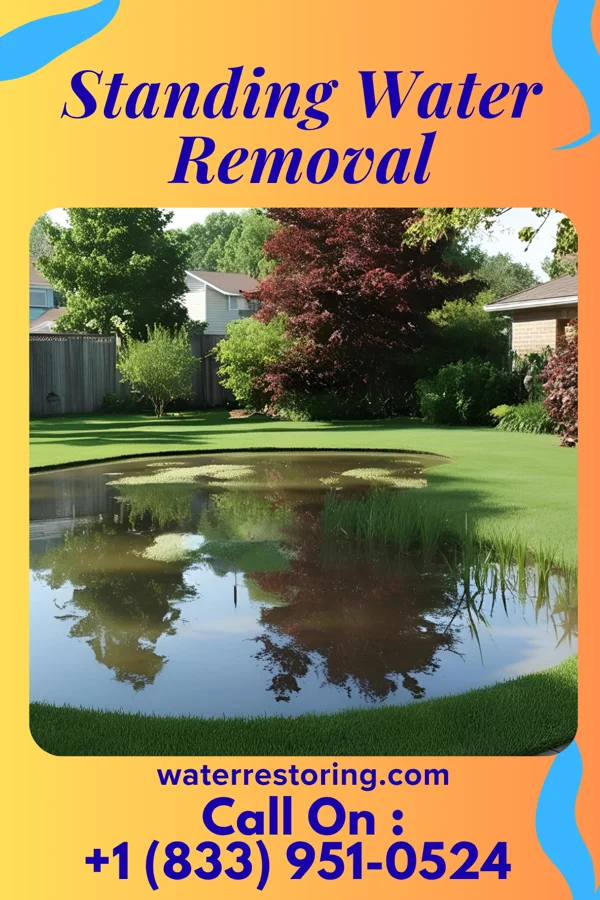 Standing Water Removal in Lamkin, TX